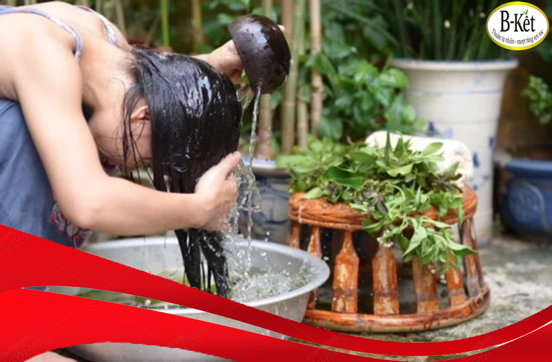 Bồ kết có tác dụng gì khi dùng để gội đầu?